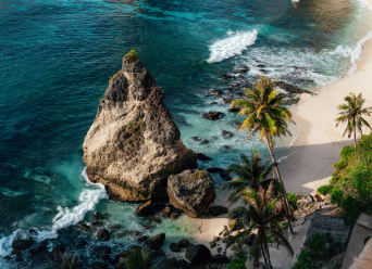Tropical Getaway